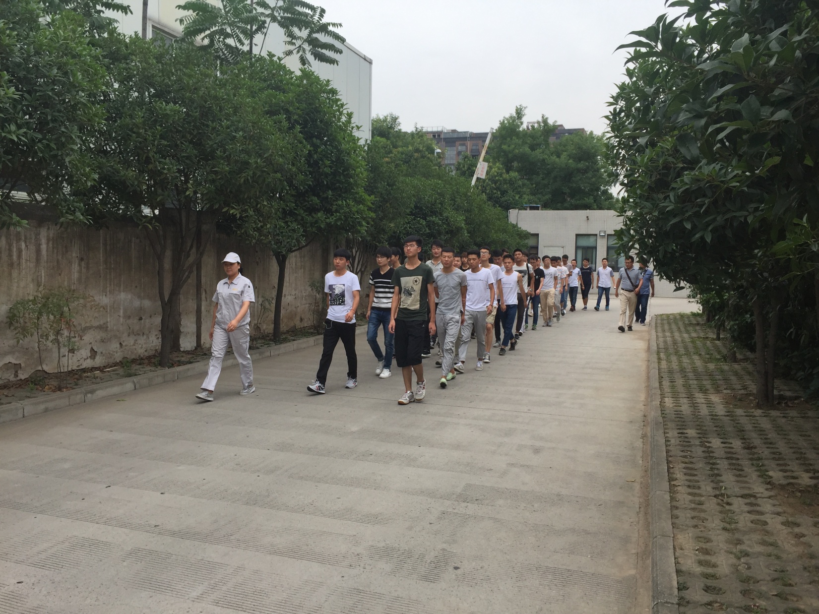 陕西能源技术学院来我司认知实习