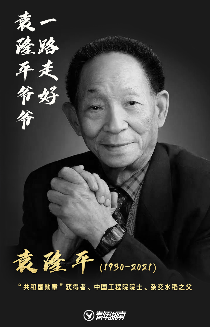 永远缅怀国之脊梁袁隆平