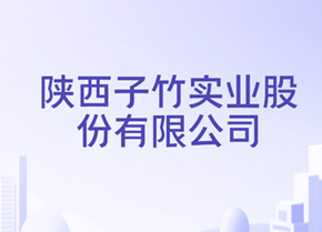 2003年