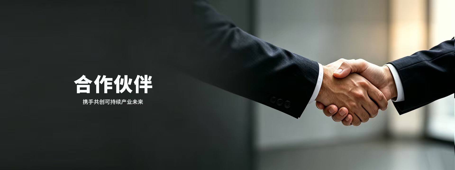 合作伙伴