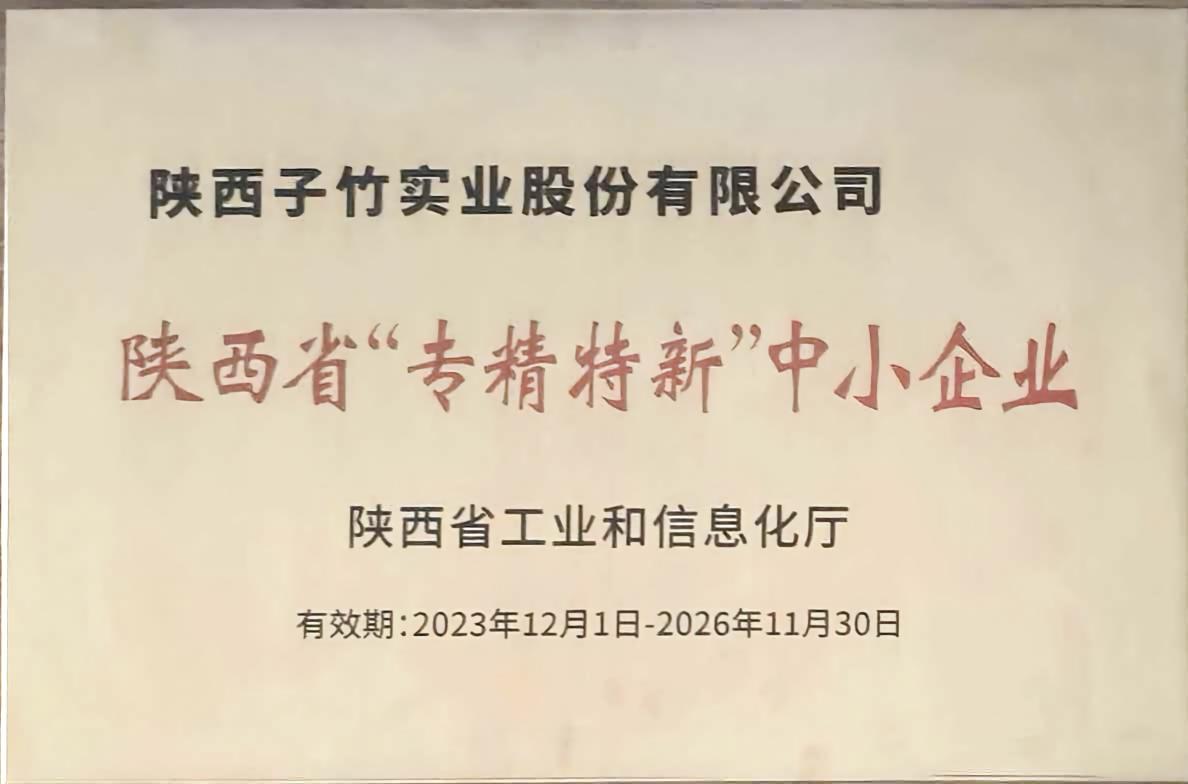 2023年